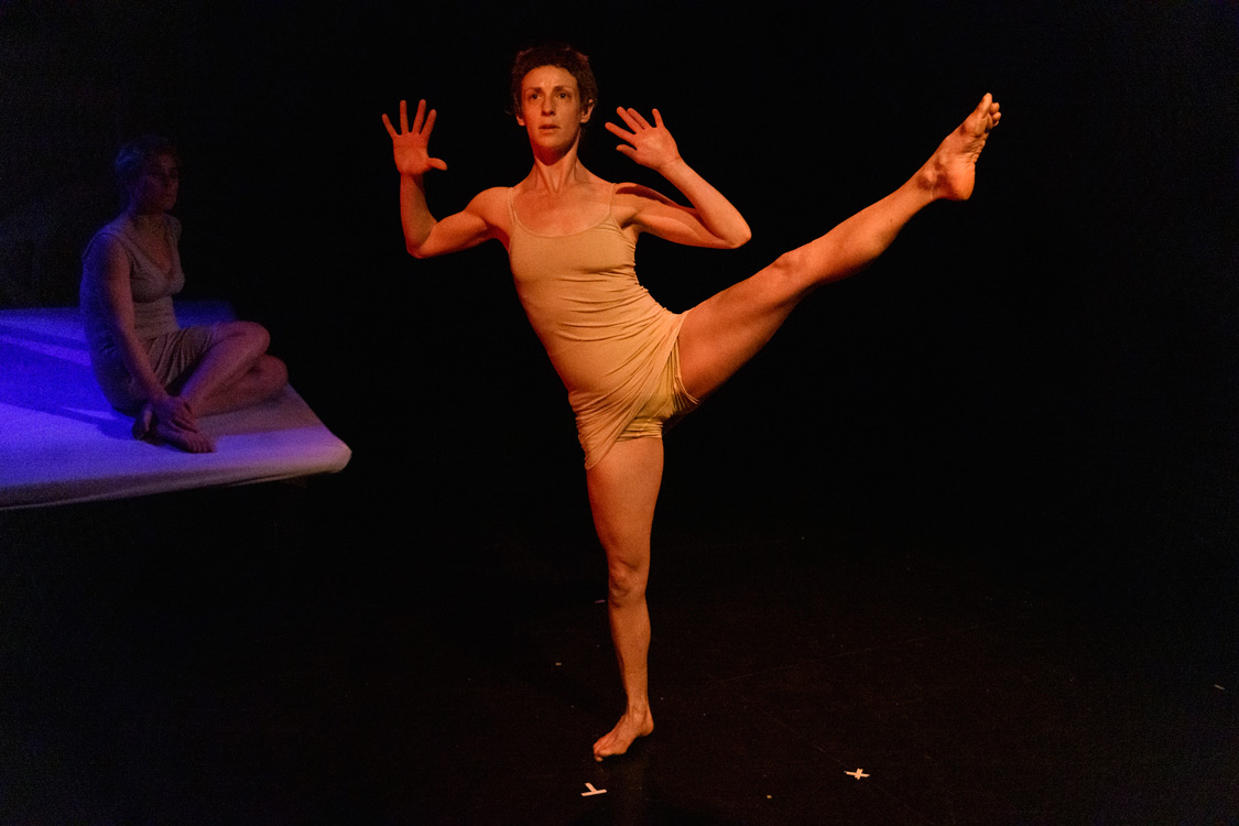 Northern Light Theatre | The Cardiac Shadow